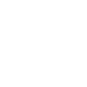 icon1 icon1